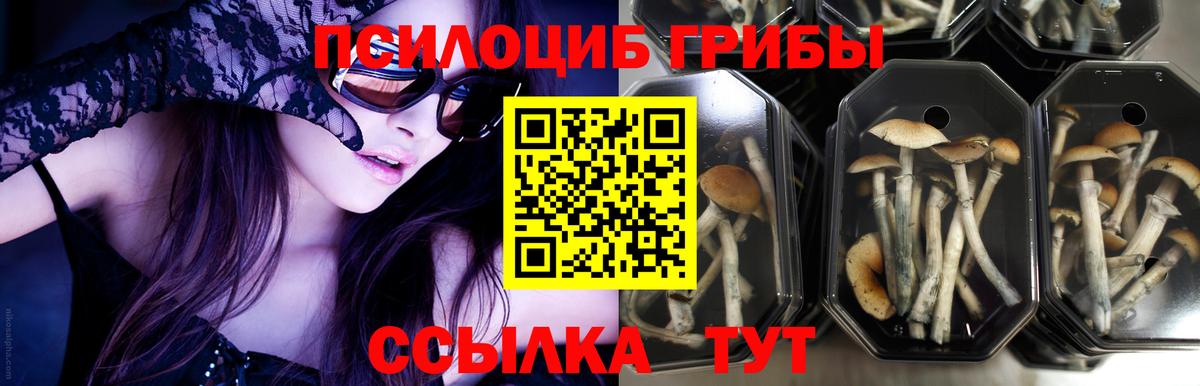 Галлюциногенные грибы MAGIC MUSHROOMS Бугуруслан